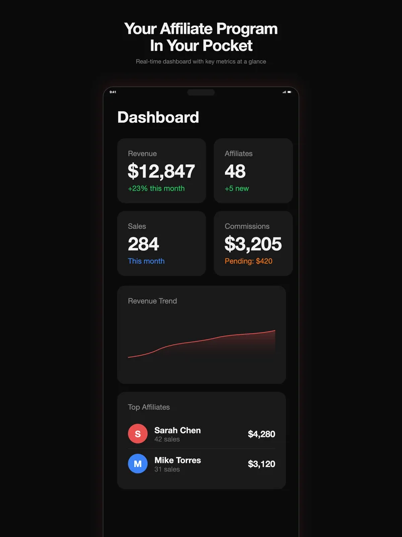 iPad screenshot: revenue dashboard